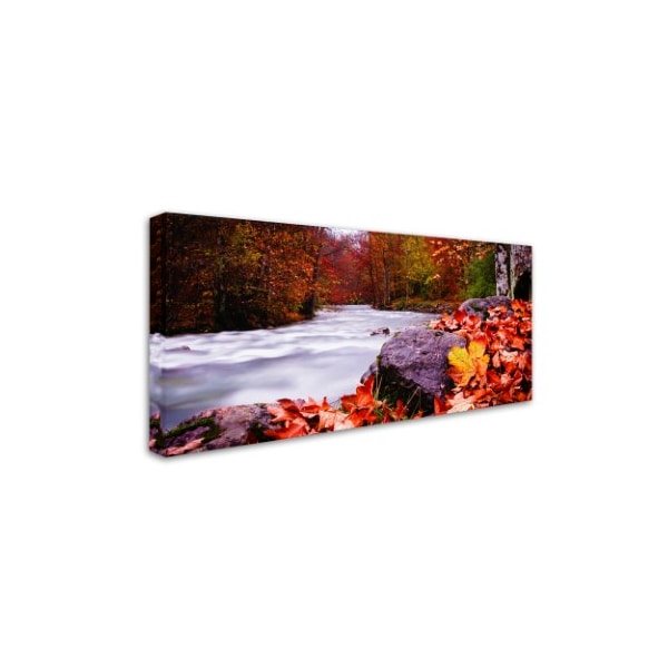 Dan Ballard 'Autumn Flow' Canvas Art,16x32